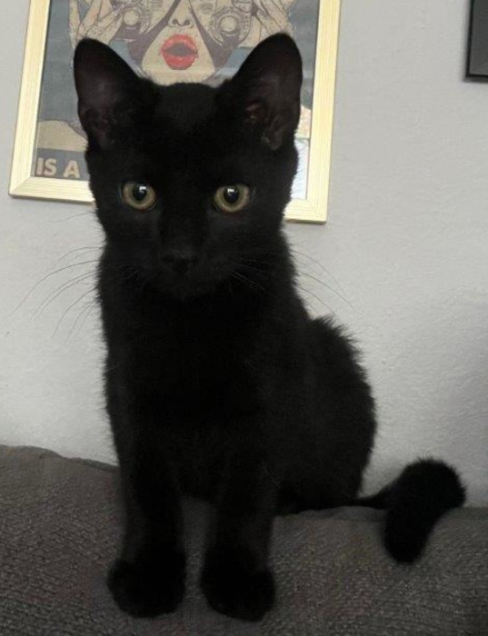 Percy
