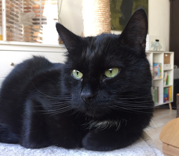 Kiara