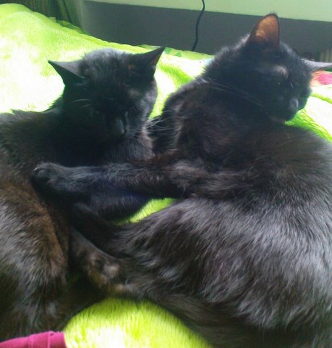 Mimi und Elli