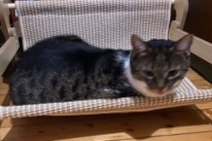 Lola / Flecki